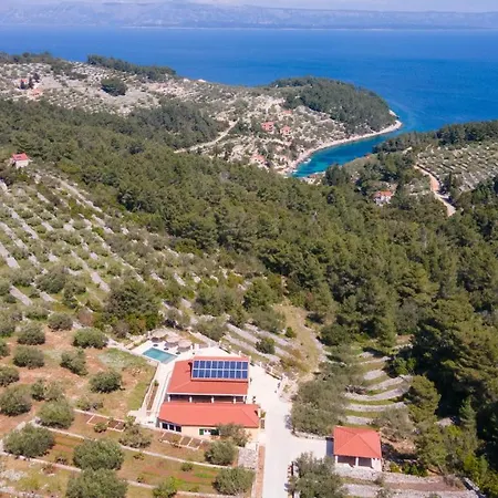 Holiday Silent Olive Garden Vela Luka