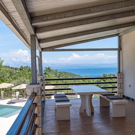Holiday Silent Olive Garden Vela Luka