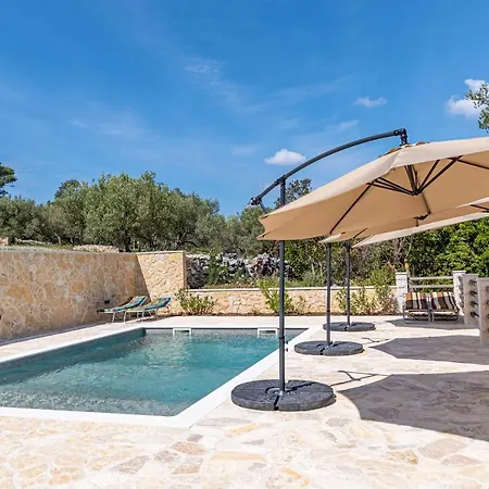 Holiday Silent Olive Garden Vela Luka
