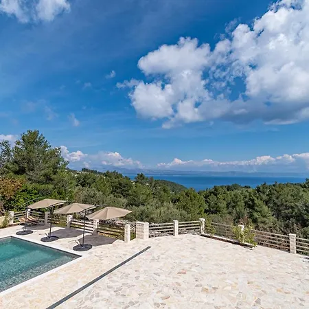 Holiday Silent Olive Garden Vela Luka