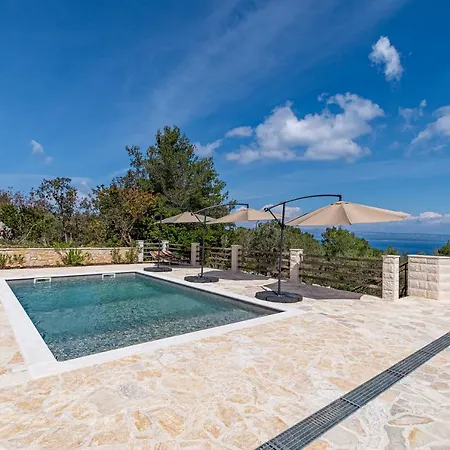 Σπίτι διακοπών Holiday Silent Olive Garden Vela Luka